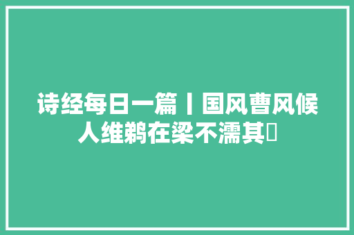 诗经每日一篇丨国风曹风候人维鹈在梁不濡其咮