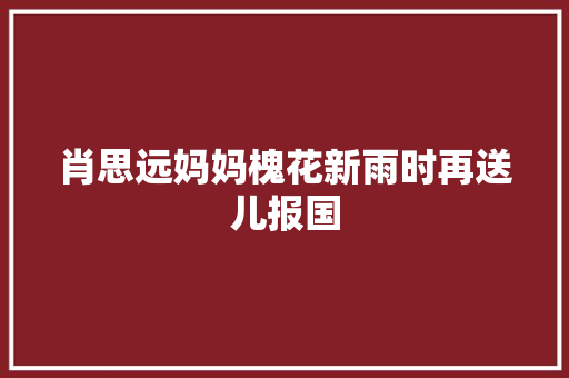 肖思远妈妈槐花新雨时再送儿报国