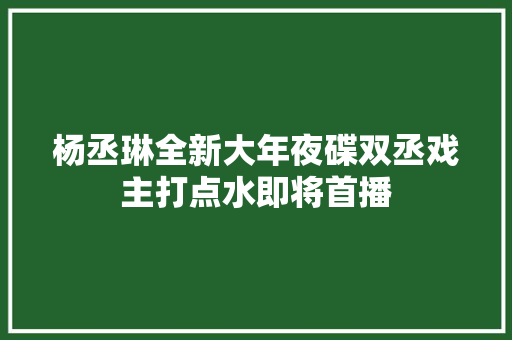 杨丞琳全新大年夜碟双丞戏主打点水即将首播