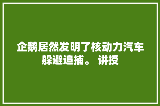 企鹅居然发明了核动力汽车躲避追捕。 讲授