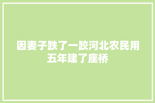 因妻子跌了一跤河北农民用五年建了座桥