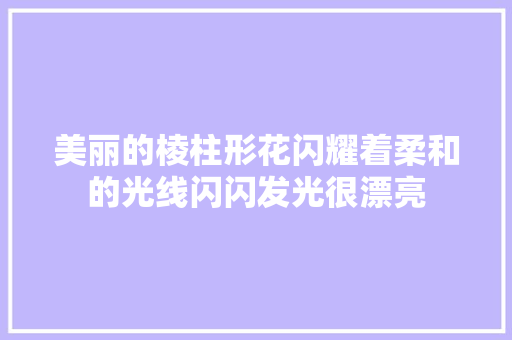 美丽的棱柱形花闪耀着柔和的光线闪闪发光很漂亮