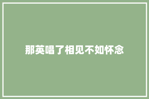 那英唱了相见不如怀念