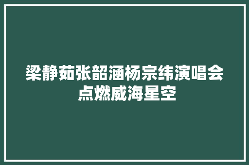 梁静茹张韶涵杨宗纬演唱会 点燃威海星空
