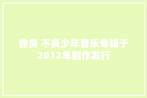 徐良 不良少年音乐专辑于2012年制作发行