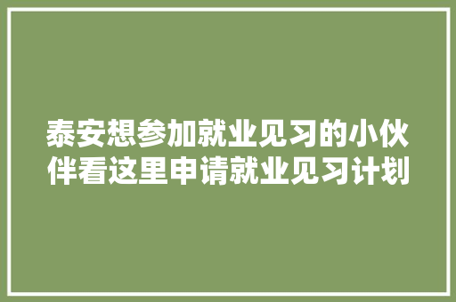 泰安想参加就业见习的小伙伴看这里申请就业见习计划攻略来了