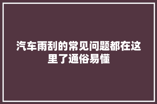 汽车雨刮的常见问题都在这里了通俗易懂