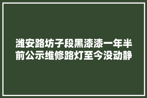 潍安路坊子段黑漆漆一年半前公示维修路灯至今没动静