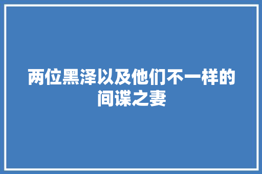 两位黑泽以及他们不一样的间谍之妻