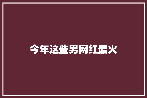 今年这些男网红最火