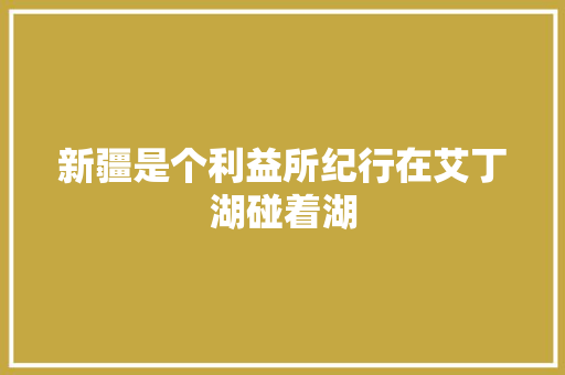 新疆是个利益所纪行在艾丁湖碰着湖