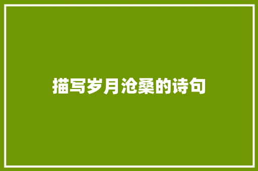 描写岁月沧桑的诗句