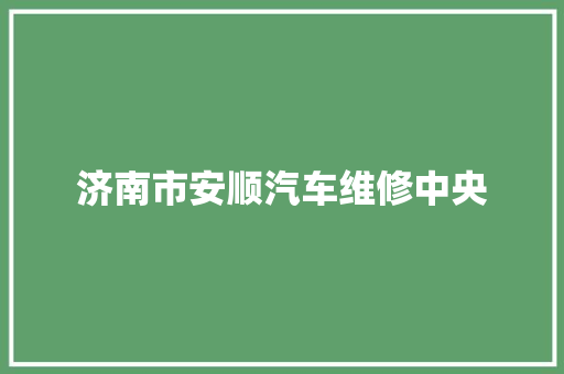 济南市安顺汽车维修中央