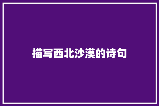 描写西北沙漠的诗句