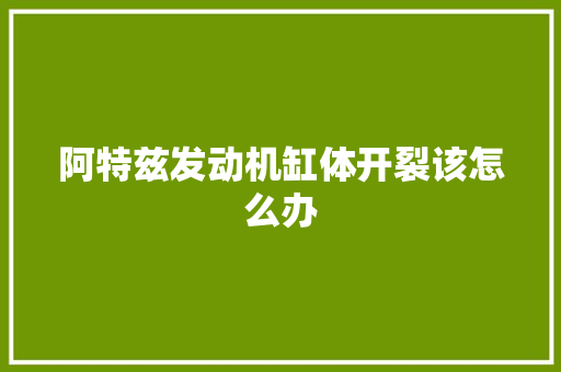阿特兹发动机缸体开裂该怎么办