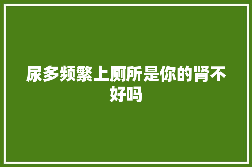 尿多频繁上厕所是你的肾不好吗