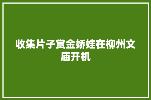 收集片子赏金娇娃在柳州文庙开机 休闲娱乐