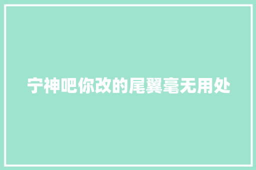 宁神吧你改的尾翼毫无用处