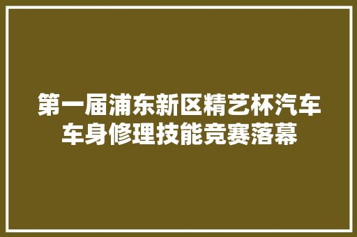 第一届浦东新区精艺杯汽车车身修理技能竞赛落幕 汽车知识