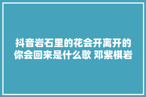 抖音岩石里的花会开离开的你会回来是什么歌 邓紫棋岩石里的花歌词