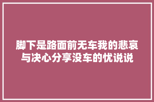 脚下是路面前无车我的悲哀与决心分享没车的忧说说
