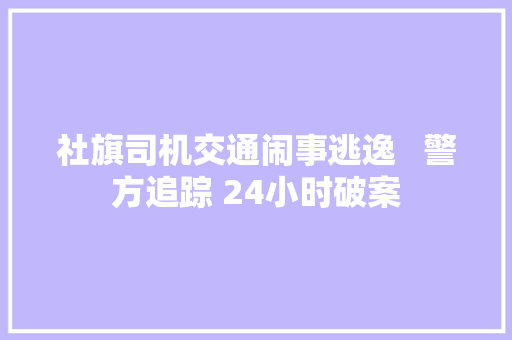 社旗司机交通闹事逃逸   警方追踪 24小时破案