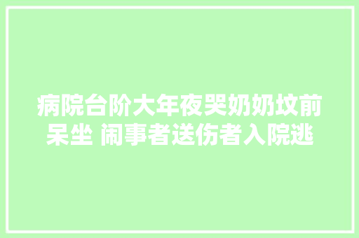 病院台阶大年夜哭奶奶坟前呆坐 闹事者送伤者入院逃离4天后投案