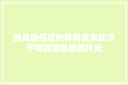 当兵退伍后的林宥嘉来武汉干啥呢唱响最美月光