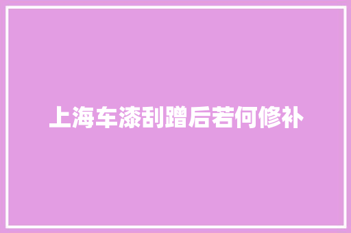 上海车漆刮蹭后若何修补