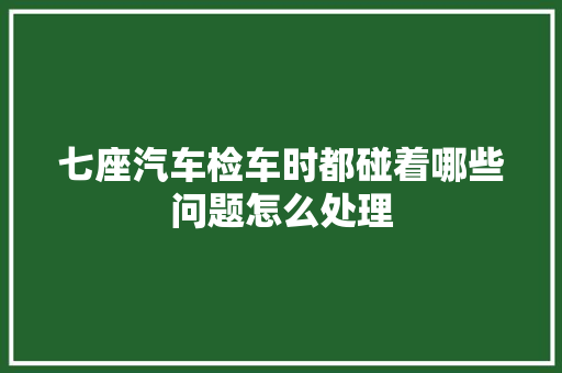 七座汽车检车时都碰着哪些问题怎么处理