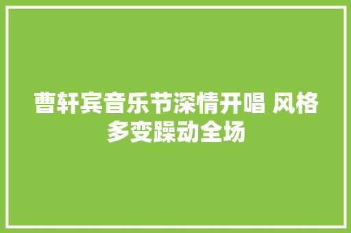 曹轩宾音乐节深情开唱 风格多变躁动全场