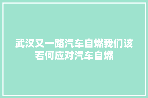 武汉又一路汽车自燃我们该若何应对汽车自燃