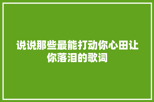 说说那些最能打动你心田让你落泪的歌词