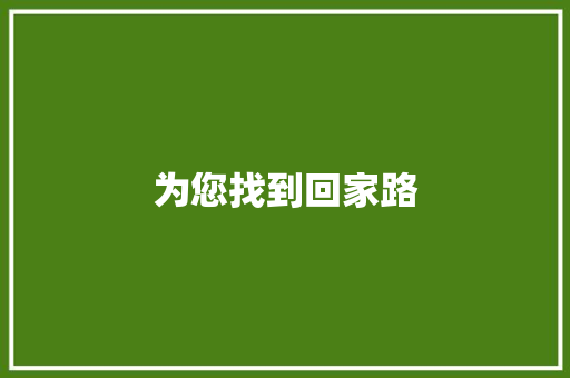 为您找到回家路