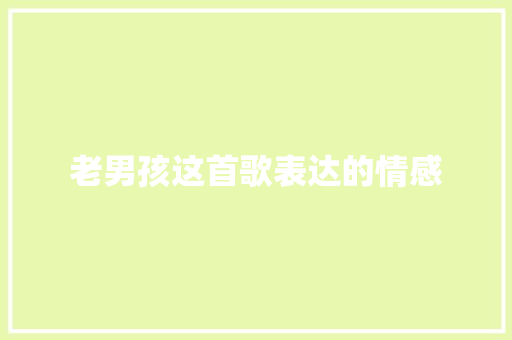 老男孩这首歌表达的情感