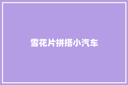 雪花片拼搭小汽车