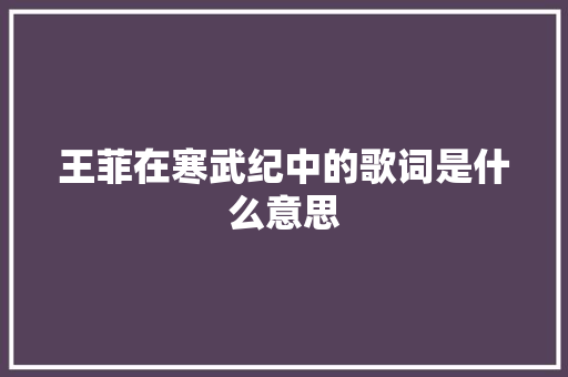 王菲在寒武纪中的歌词是什么意思