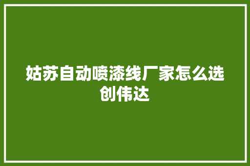 姑苏自动喷漆线厂家怎么选创伟达