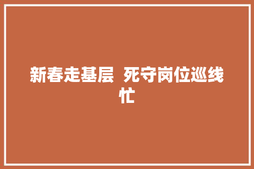 新春走基层  死守岗位巡线忙