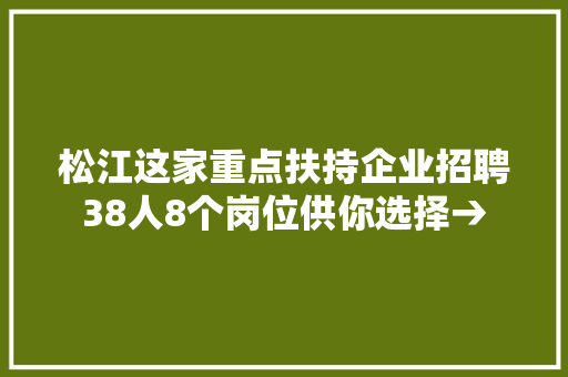 松江这家重点扶持企业招聘38人8个岗位供你选择→
