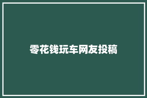 零花钱玩车网友投稿