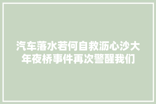 汽车落水若何自救沥心沙大年夜桥事件再次警醒我们