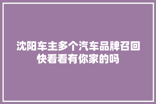 沈阳车主多个汽车品牌召回快看看有你家的吗