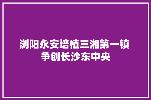 浏阳永安培植三湘第一镇 争创长沙东中央