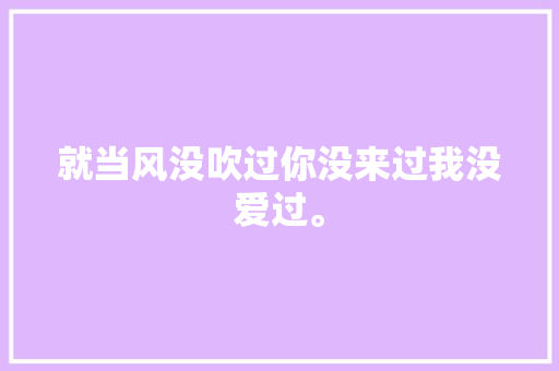 就当风没吹过你没来过我没爱过。