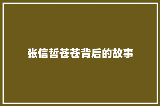 张信哲苍苍背后的故事