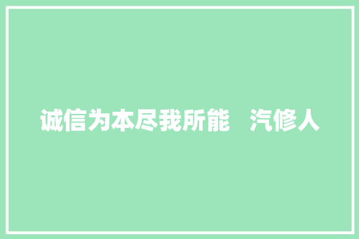 诚信为本尽我所能   汽修人