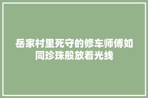 岳家村里死守的修车师傅如同珍珠般放着光线