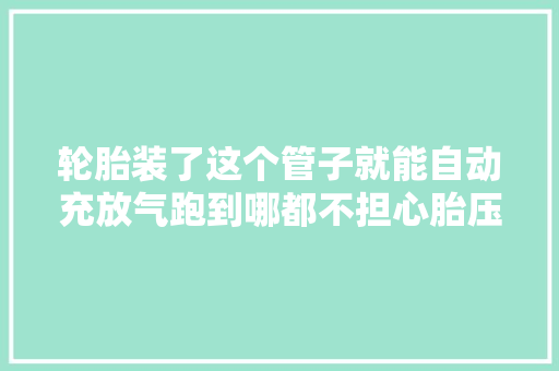 轮胎装了这个管子就能自动充放气跑到哪都不担心胎压异常