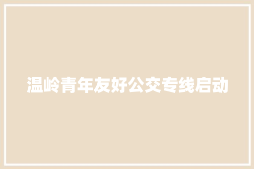 温岭青年友好公交专线启动